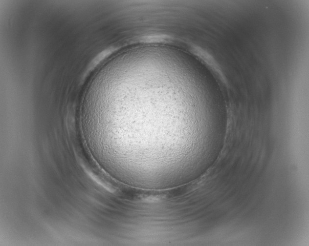 X0000082160155200702021710