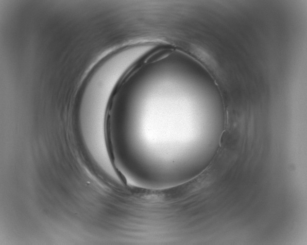 X0000082160156200702021710