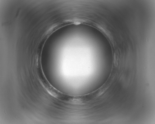 X0000082160157200702021710