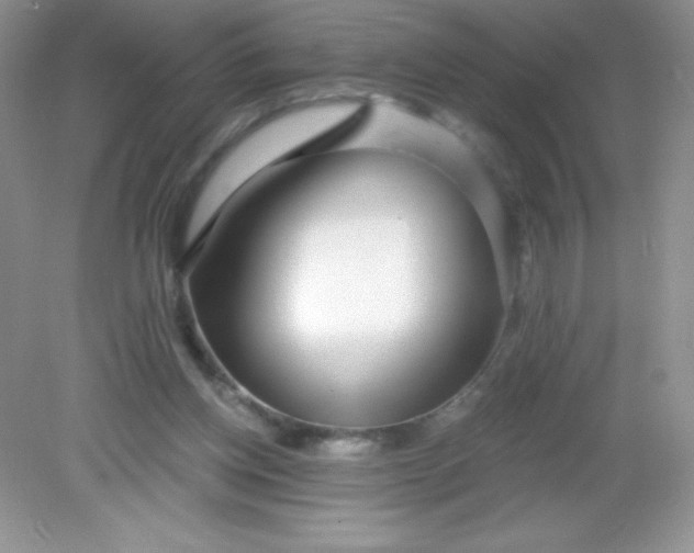 X0000082160158200702021710