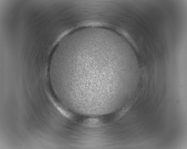 X0000082160159200702021710