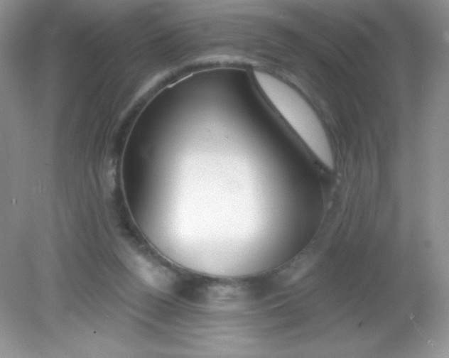 X0000082160160200702021710