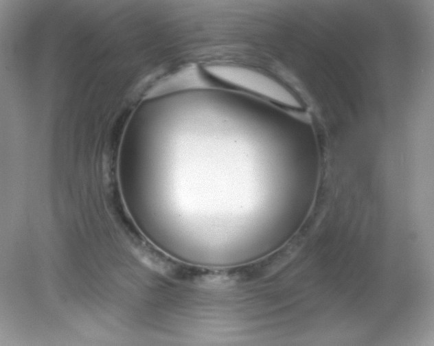 X0000082160161200702021710