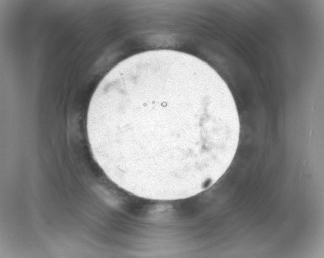 X0000082160162200702021710