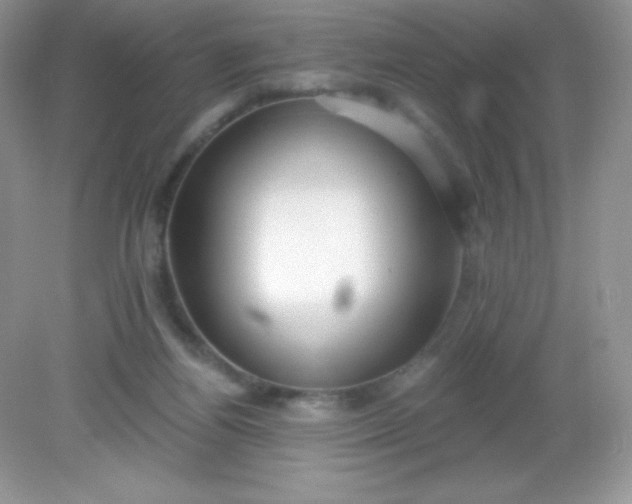 X0000082160164200702021710