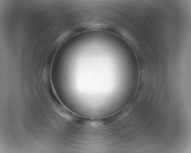 X0000082160165200702021710