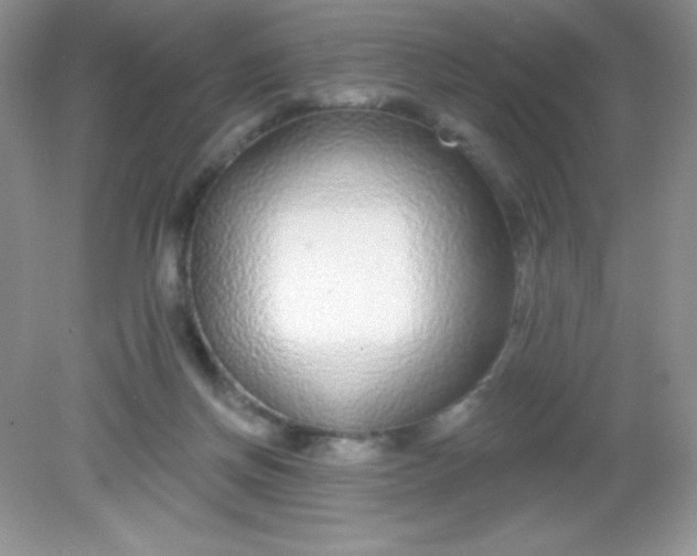 X0000082160166200702021710