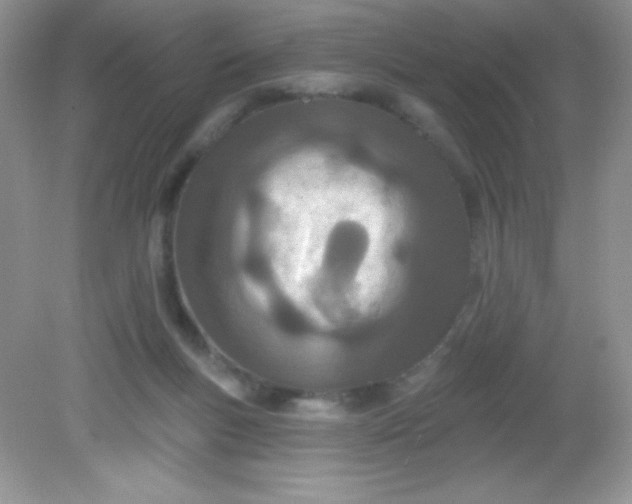 X0000082160167200702021710