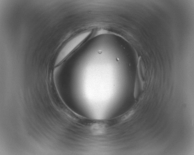 X0000082160168200702021710