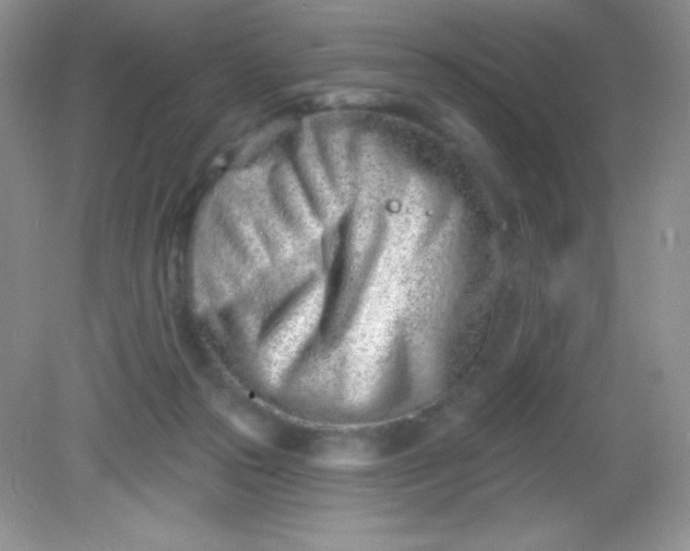 X0000082160169200702021710