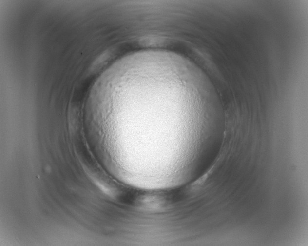 X0000082160171200702021710