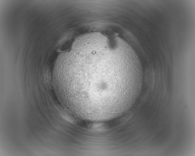 X0000082160173200702021710