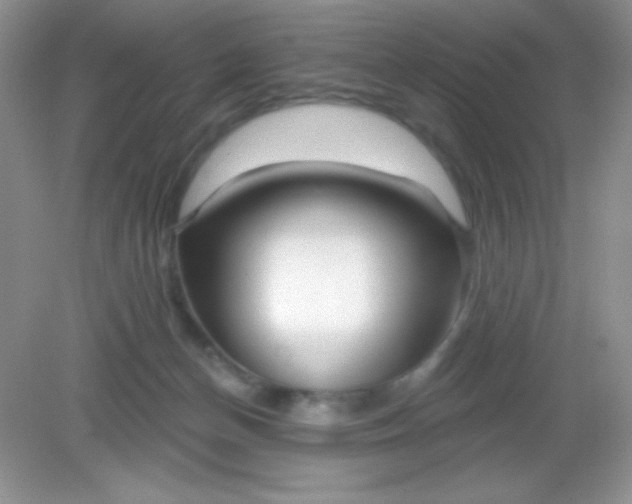 X0000082160174200702021710