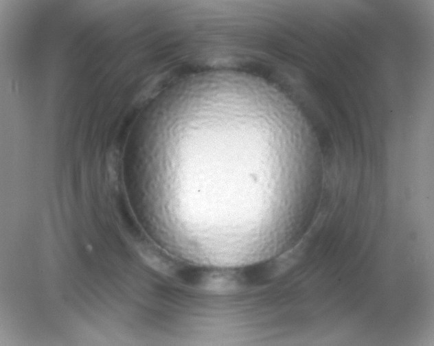 X0000082160175200702021710