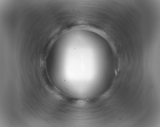 X0000082160176200702021710