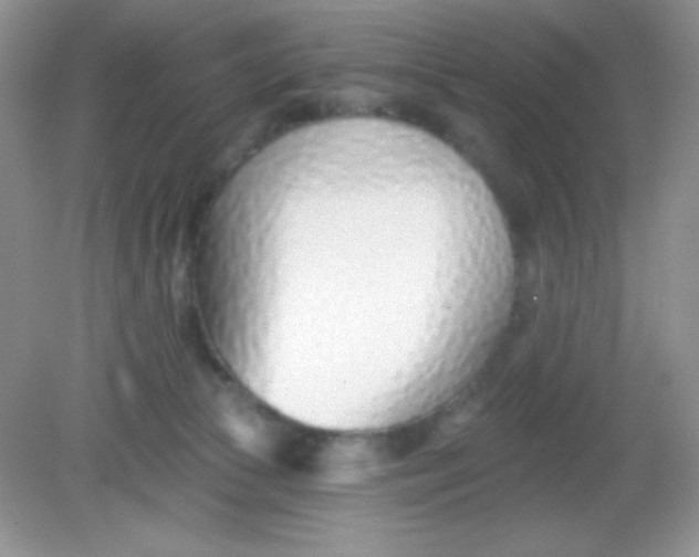 X0000082160177200702021710