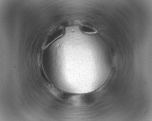 X0000082160178200702021710