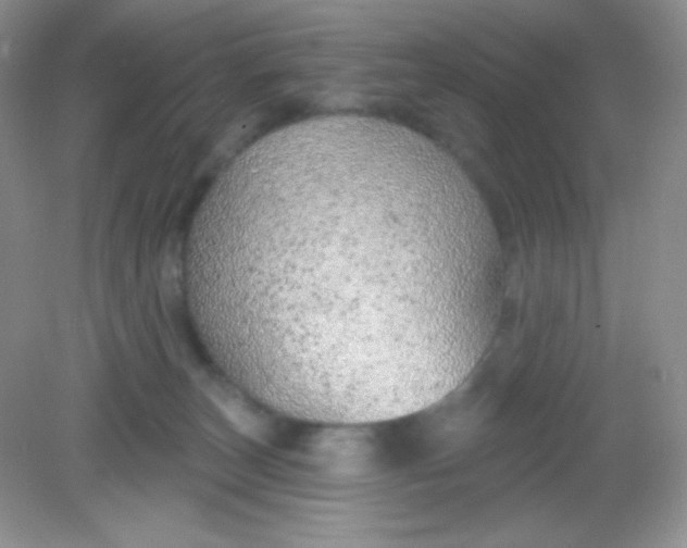 X0000082160179200702021710