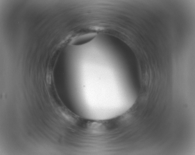 X0000082160180200702021710