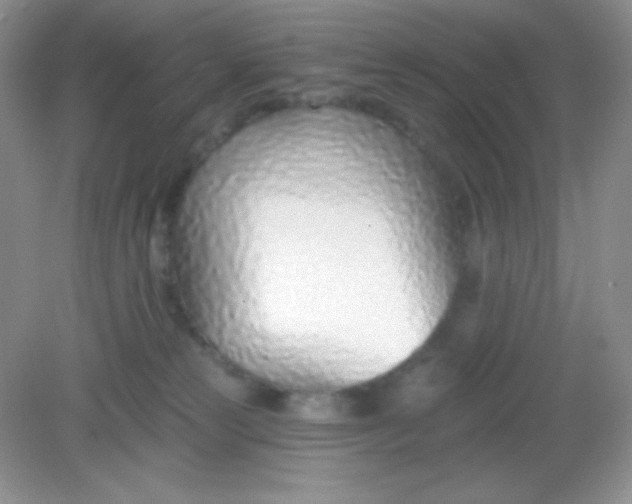 X0000082160181200702021710