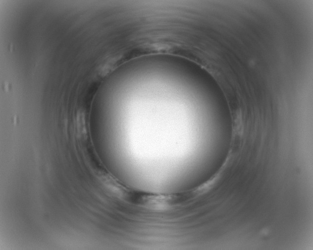 X0000082160182200702021710