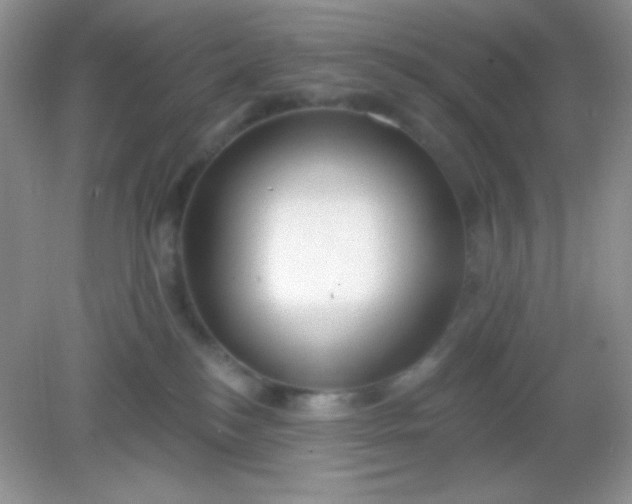 X0000082160184200702021710