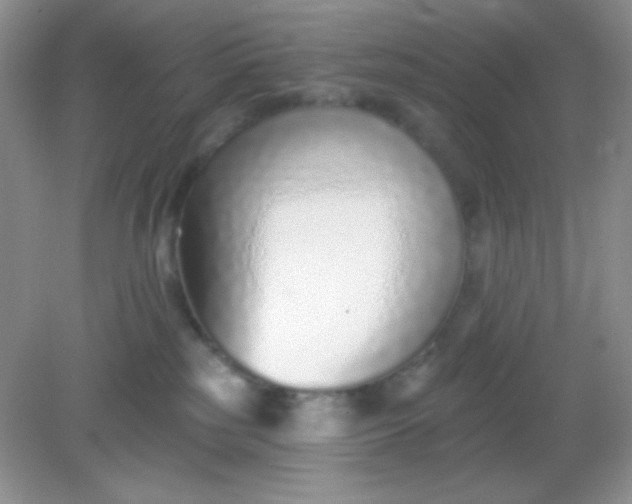 X0000082160185200702021710