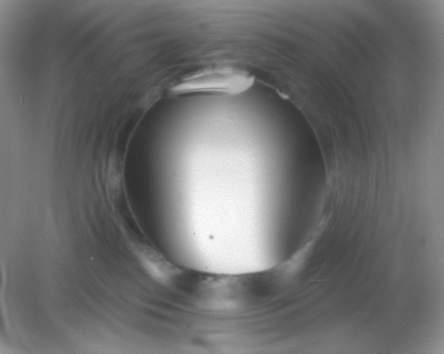 X0000082160186200702021710