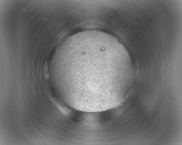 X0000082160187200702021710