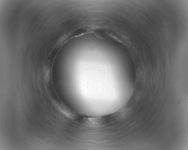 X0000082160188200702021710