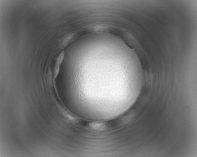 X0000082160189200702021710