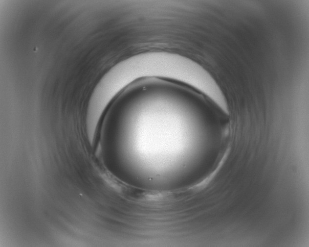 X0000082160190200702021710