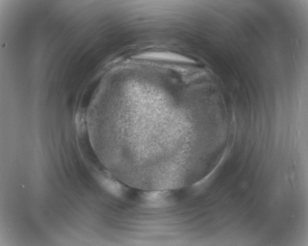 X0000082160191200702021710