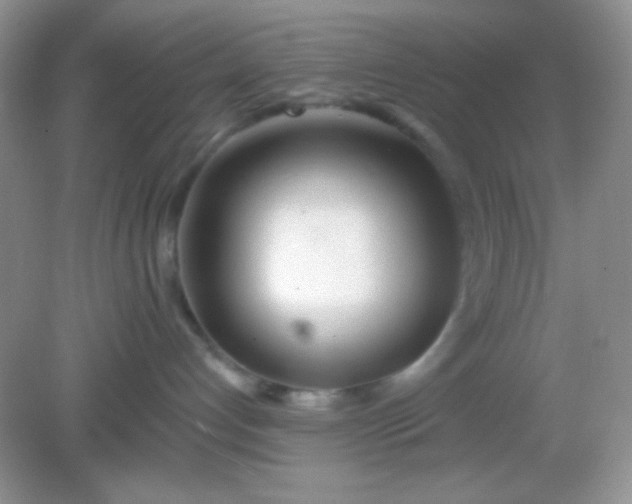 X0000082160192200702021710