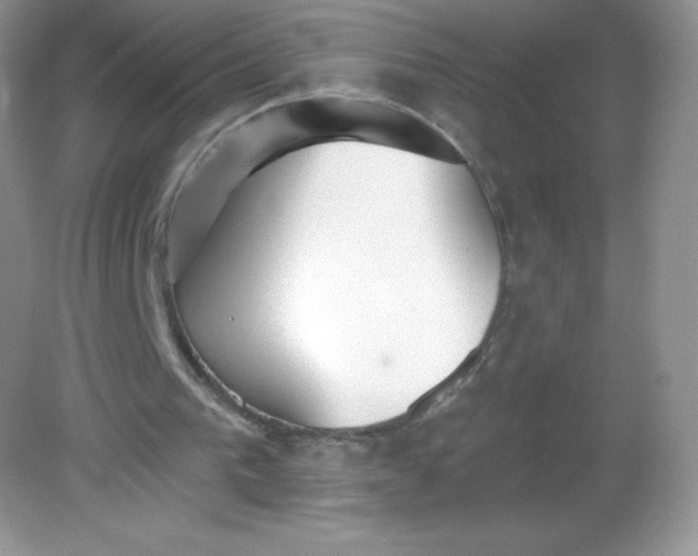 X0000082160193200702021709