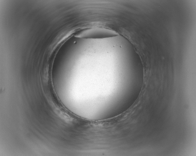 X0000082160194200702021709