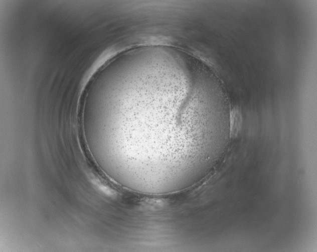 X0000082160195200702021709