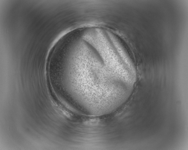 X0000082160196200702021709