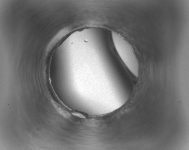 X0000082160197200702021709