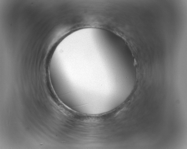 X0000082160198200702021709