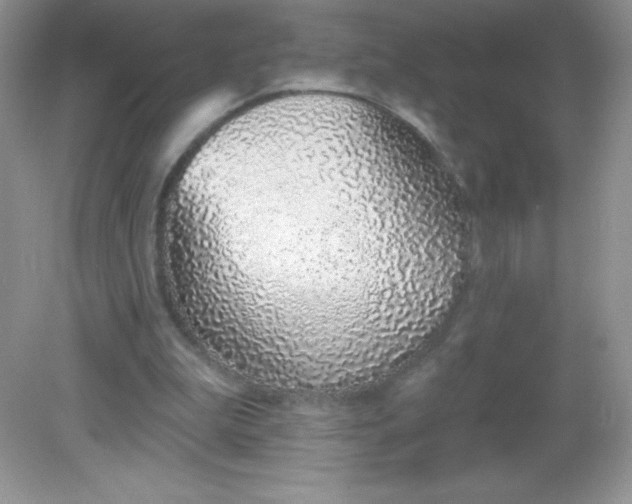 X0000082160199200702021709