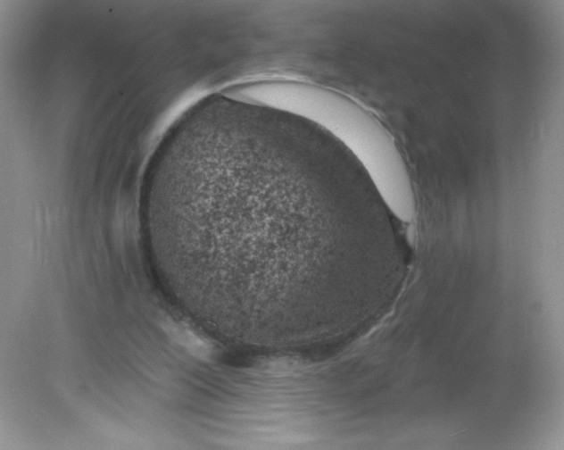 X0000082160200200702021709