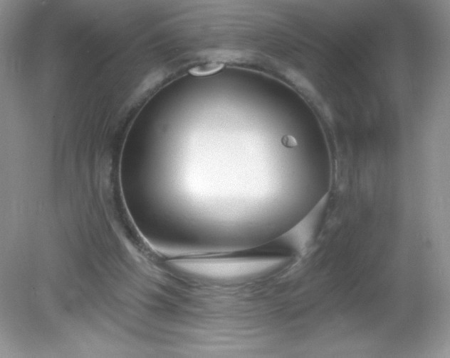 X0000082160201200702021709