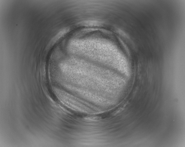 X0000082160202200702021709