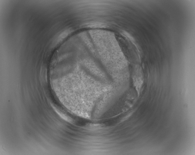 X0000082160205200702021709