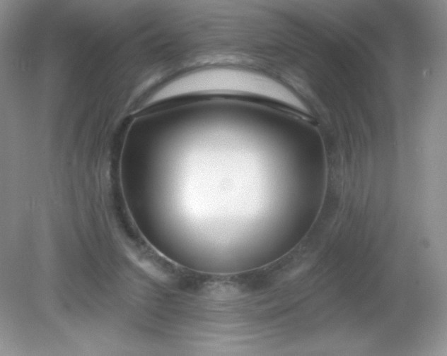 X0000082160207200702021709