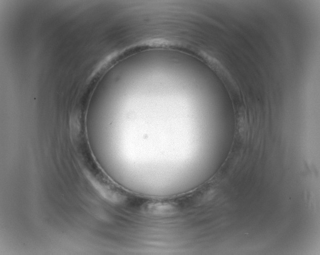 X0000082160208200702021709