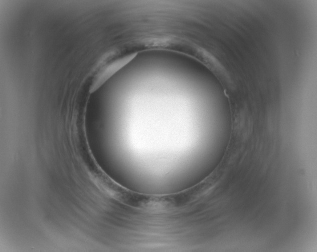 X0000082160209200702021709