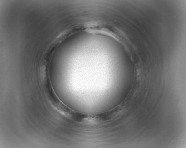 X0000082160211200702021709