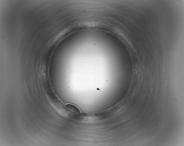 X0000082160212200702021709